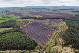 Haughey's Bog