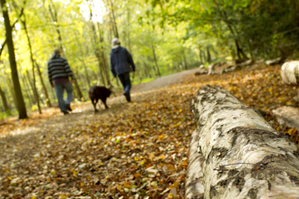 A couple with a dog on a lead, walking through a foresst