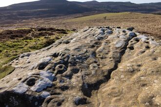 Donate to Secure The Rothbury Estate | The Wildlife Trusts