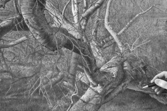 cy baker drawing