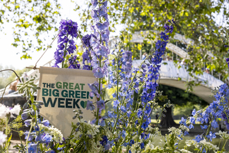 A sign reading The Great Big Green Week is nestled in between tall purple flowers