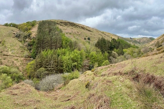 A view over Glen Auldyn, showing hills covered with grass and a few trees, with a cloudy sky overhead