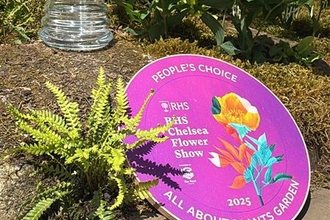 Award for The Wildlife Trusts' British Rainforest Garden