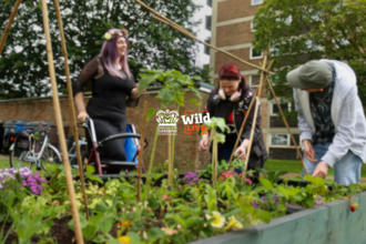 image of community gardening 