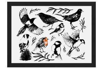 An artprint of birds, mainly in black and white, apart from a robin that has a red breast. The other birds include a magpie, blackbird, goldfinch and great tit