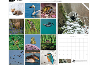 The back of The Wildlife Trusts' 2025 calendar, showing the photos that are assigned to every month
