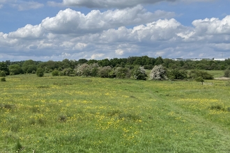Cutacre Habitat Bank BNG