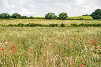 Wild Whittington BNG Habitat Bank