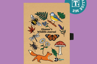 A notebook that says 'Eleanor's wildlife journal' across the front, with illustrated wildlife including a fox, toadstool, blue tit, bumblebee, stag beetle, butterflies, leaves and dragonfly. A note in the top right hand corner says Personalise Me