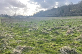 Queensdown Warren BNG Habitat Bank