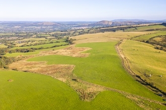Betchcott Hill BNG Habitat Bank_2
