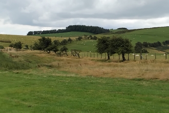 Betchcott Hill BNG Habitat Bank