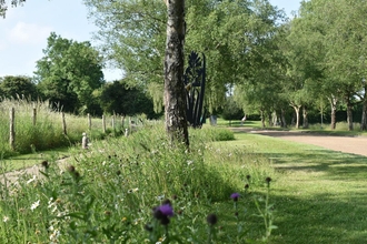 A walkway lined by trees and grass, with a wildflower strip in the middle