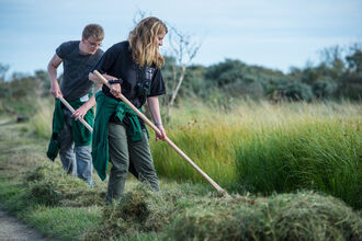 Volunteers raking grass