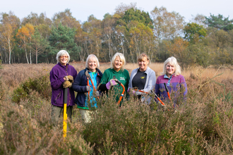 Social Value Volunteering