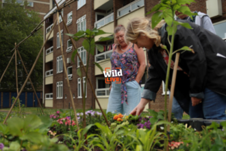 three people looking at a raised bed with vegetables outside flats