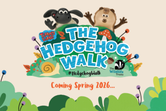 The Hedgehog Walk featuring Timmy and Apricot from Timmy Time