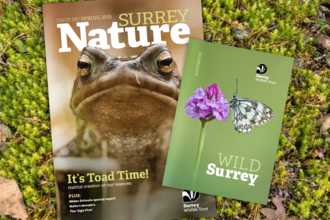 Surrey Wilflife Trust membership pack