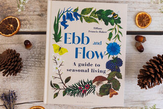 The book Ebb and Flow by Tiffancy Francis Baker on a table surrounded by dried fruit and foliage