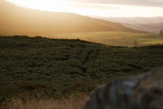 A sunlit landscape with soft golden light spreading across rolling hills, dense green vegetation in the foreground, and wide open fields stretching into the distance beneath a hazy sky.