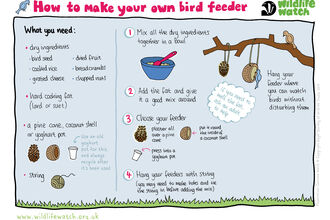 Explanation of how to make your own bird feeder. Text description provided on webpages where this sheet is used