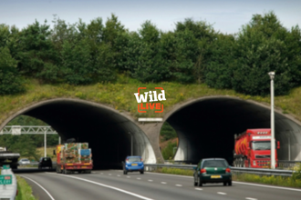 Wildlife bridge Woeste Hoeve in the province of Gelderland