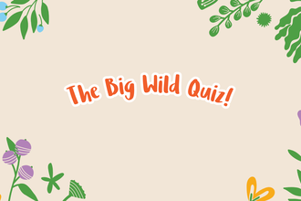The Big Wild Quiz
