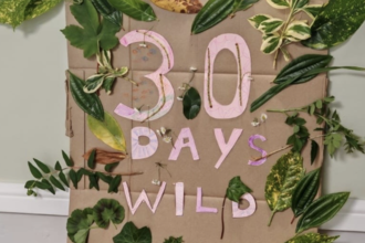 A collage on a large piece of cardboard. 30 Days Wild is cut out of pink paper and stuck in the middle, surrounded by lots of different types of leaves