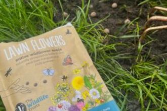 A bag of lawn flower seedballs lying on some grass with some scattered seedballs in the background