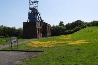 Green fields yellow flowers and an old pithead building in the near background on a sunny day