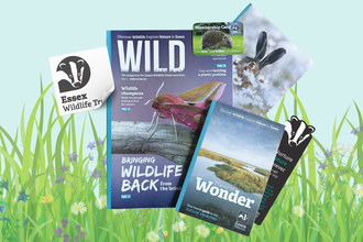 Membership pack items such as magazine, postcard, sticker and welcome letter