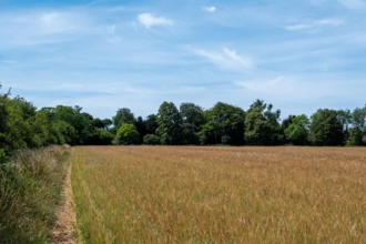 Timberfield Great Chalfield Habitat Bank