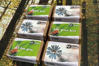 Six seedball matchboxes with six different customised designs featuring wildflowers and butterflies