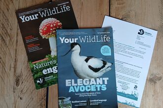 Membership pack items such as magazine, membership card, and welcome letter