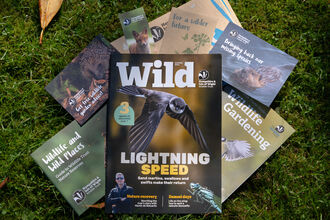 Membership pack items such as magazine, membership card, and welcome letter