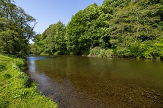 A wide river flowing between tree-lined banks