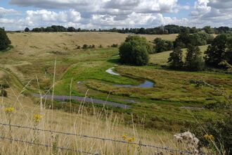 View of the River Severn floodplain with a meandering river channel, grassland, scattered trees, and open countryside under a cloudy sky.