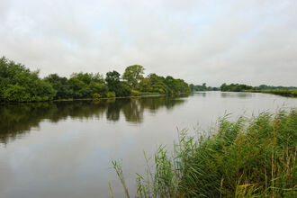 A wide river under a cloudy sky, with green bushy riverbanks