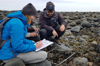 people on the sea shore wildlife trusts