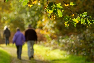 Couple walking down path through woodland