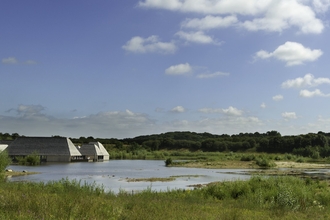 Brockholes Nature Reserve, seen from across the lake. In the foreground are grasses and rushes