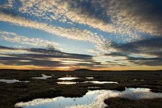 Pool system on peat bog