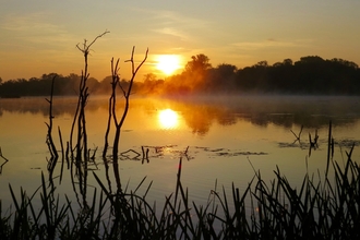 Sun setting over wetlands