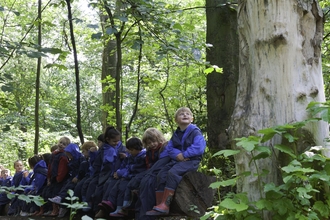 School children sit on on a fallen log in a woodland. The child on the end of the log looks up at a tree in wonder.
