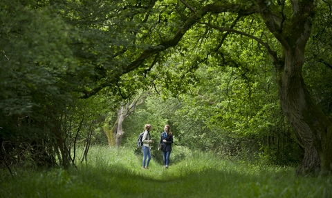 people in wood wildlife trust