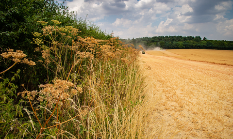 farming wildlife trusts