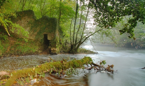 River Torridge at Halsdon reserve