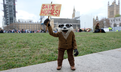 Badger protesting 