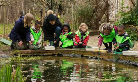 Five children in high vis and two adults leaning over a pond