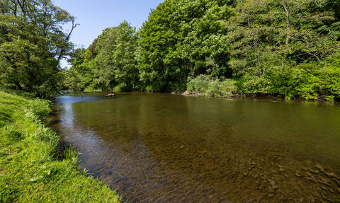 A wide river flowing between tree-lined banks